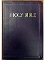 Catholic Companion Bible, Burgundy, NABRE