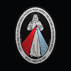 Decal-Divine Mercy