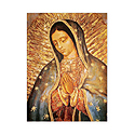 Poster-Lady Of Guadalupe
