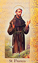 Folder-St Francis Of Assisi