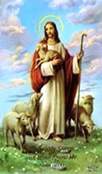 Holy Card-Christ With Sheep