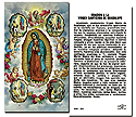 Holy Card-N.S. Guad C/Visiones