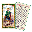 Holy Card-St Patrick