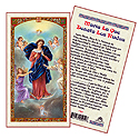 Holy Card-Virgen Desata Rudos